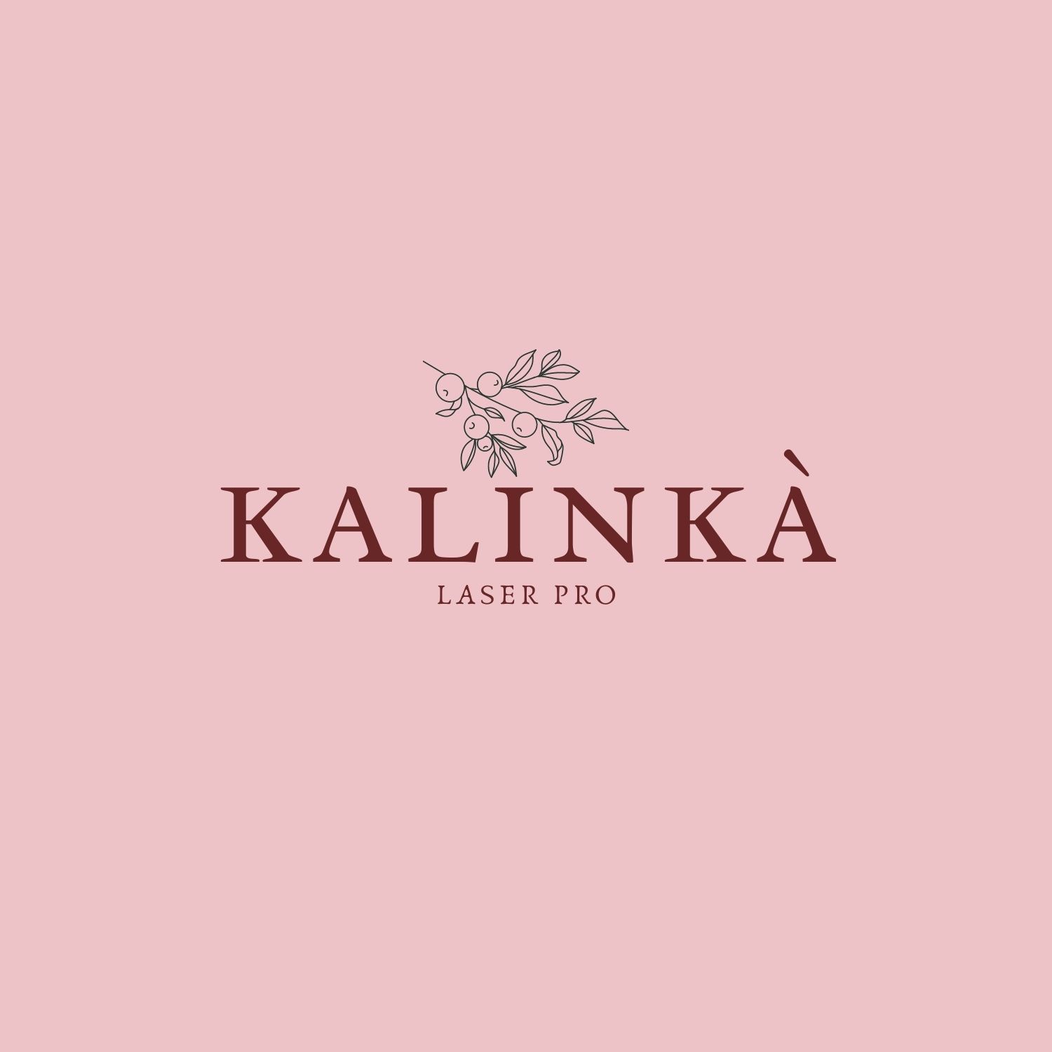 kalinka.laser.pro