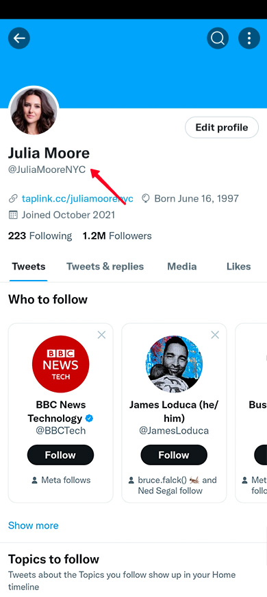 Highlighted username in a Twitter profile bio