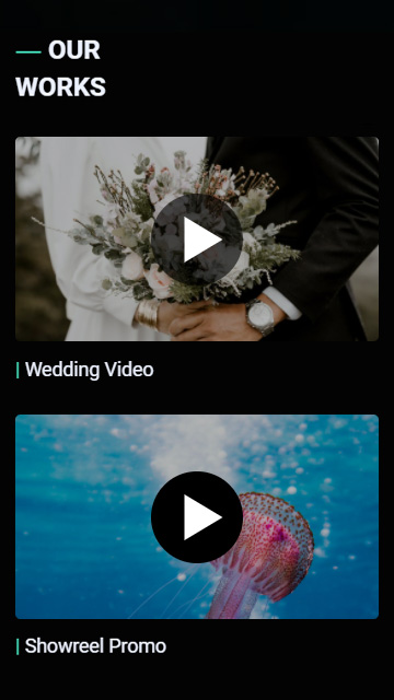 Hochzeits- und Seevideos für die Präsentation von Arbeitsbeispielen auf der Taplink-Über-mich-Seite des Videografen