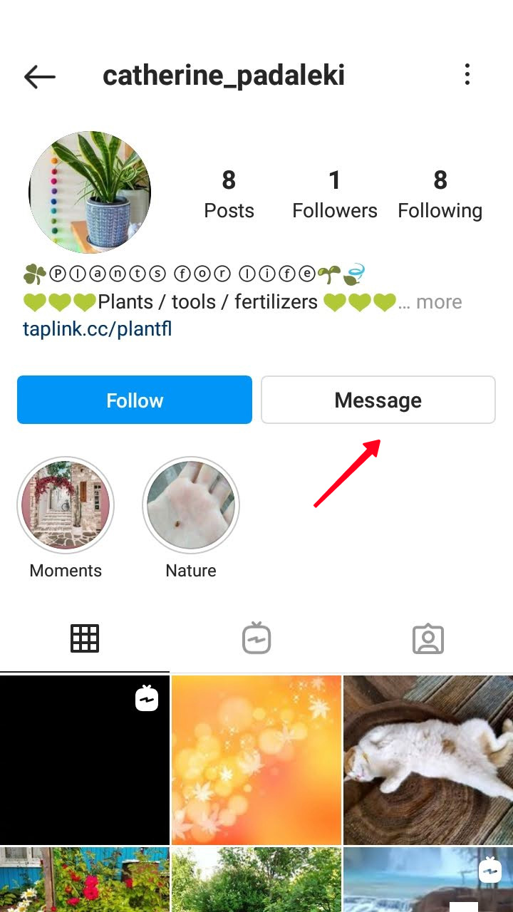 Message button on a profile page.