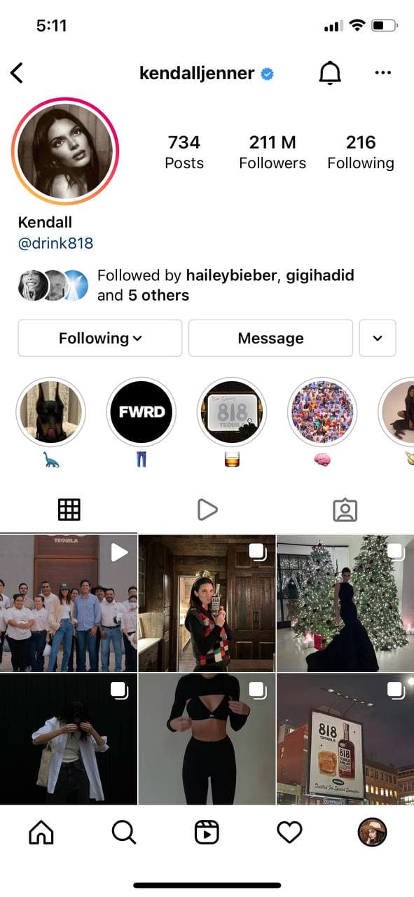 Influencer's Instagram profile with multiple highlights