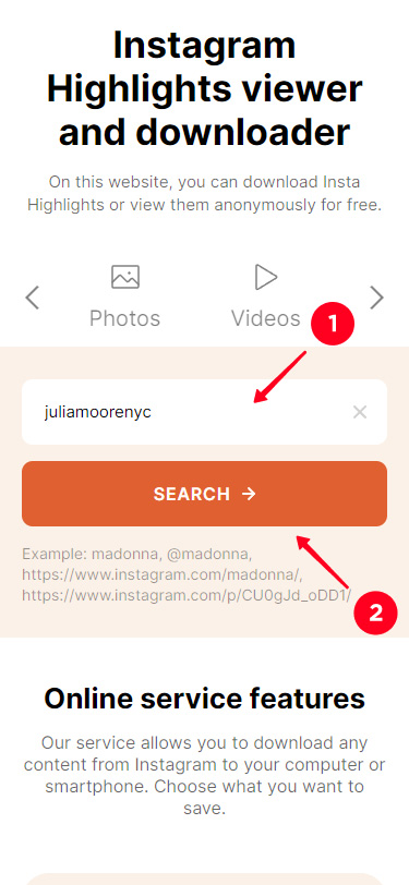 Searching for an Instagram page of a user on InstagramDownloads