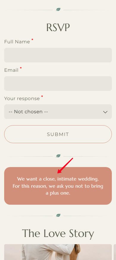 Highlighted no plus one message with the dark background on a wedding website