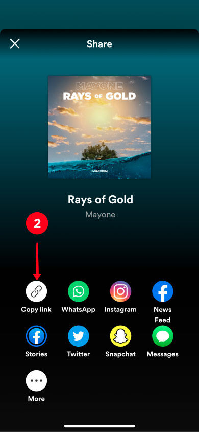 Copying song link in the Spotify player