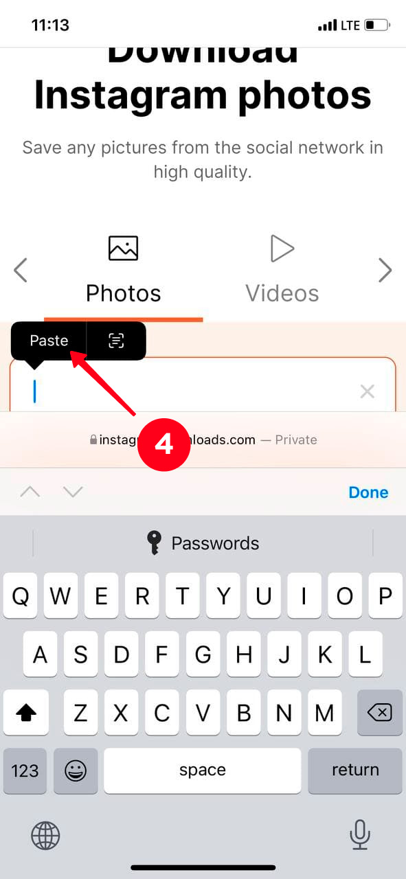 Pasting an Instagram profile link on InstagramDownloads