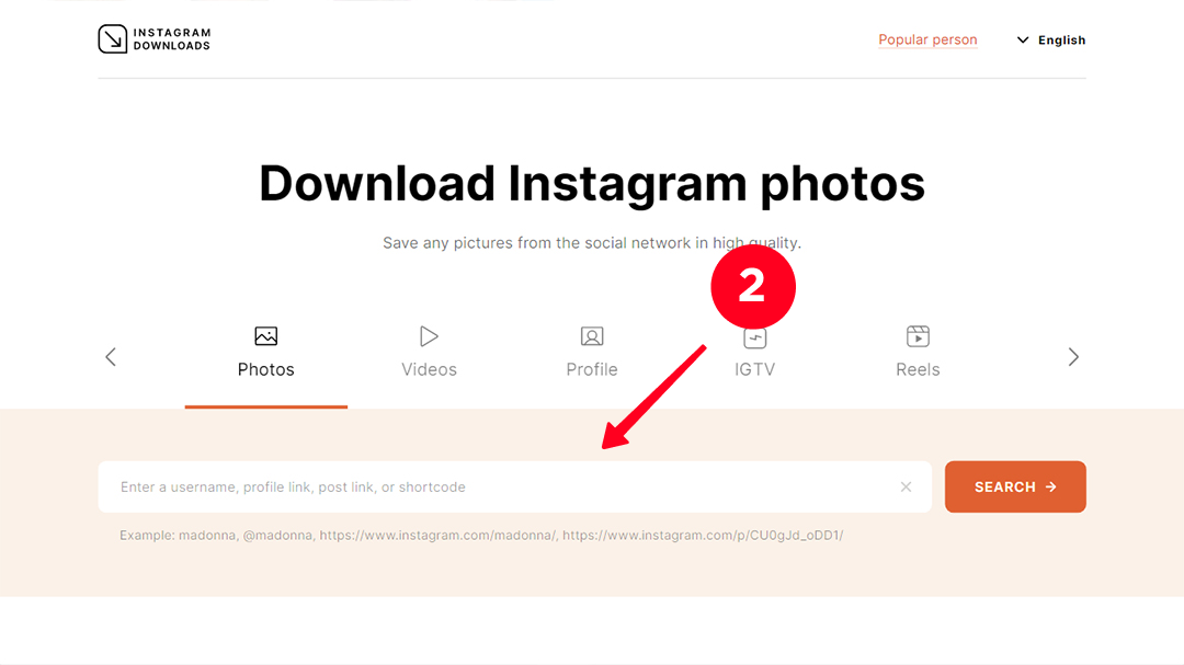 Pasting the copied Instagram profile URL in the search bar on the InstagramDownloads desktop website