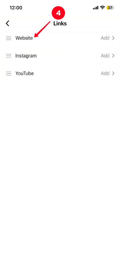 Selecting the Website button on the TikTok links settings page