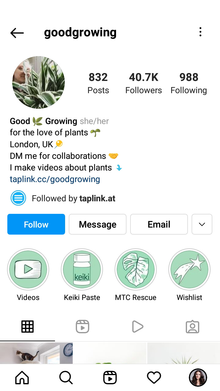 User’s page with the Instagram profile photo with plant leaves
