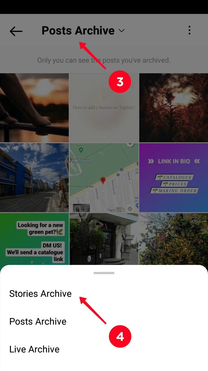 Switching to Stories in the Instagram Archive