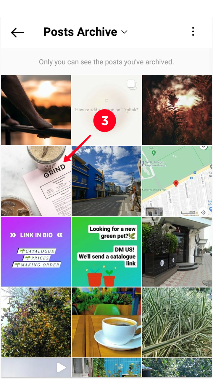 Choosing a post in the Instagram Archive in the app