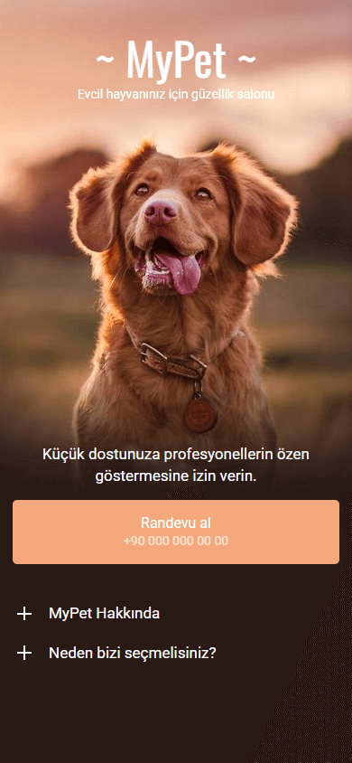 Taplink ile oluşturulmuş bir evcil hayvan güzellik salonu sitesi