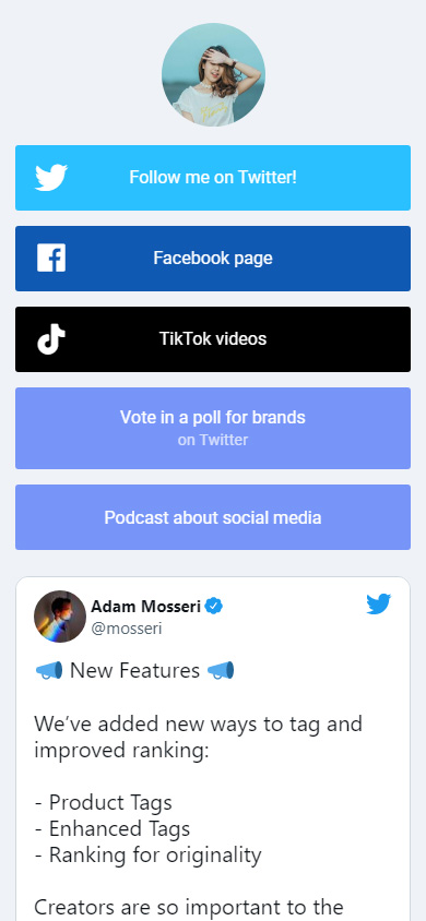 Branded Twitter, Facebook, TikTok links and regular links added to a Taplink page