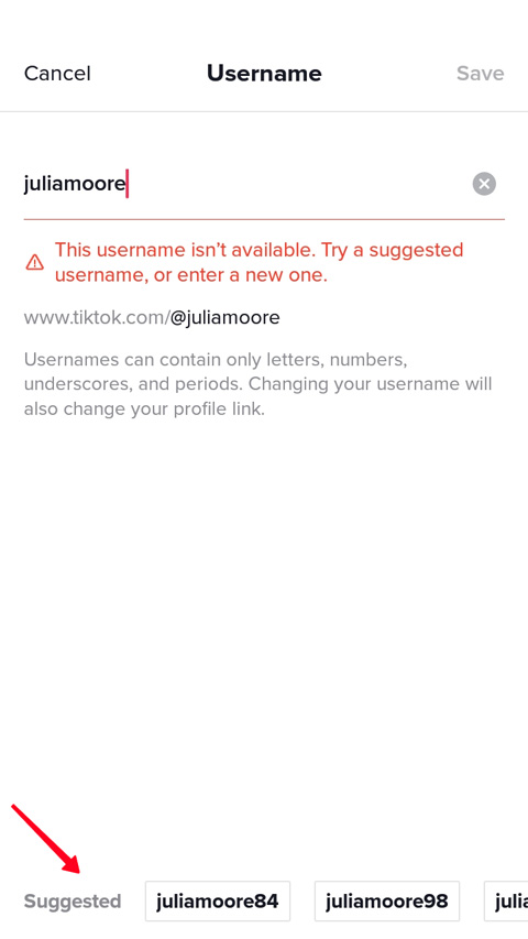 Highlighted section with suggested TikTok usernames in the profile settings in the phone app