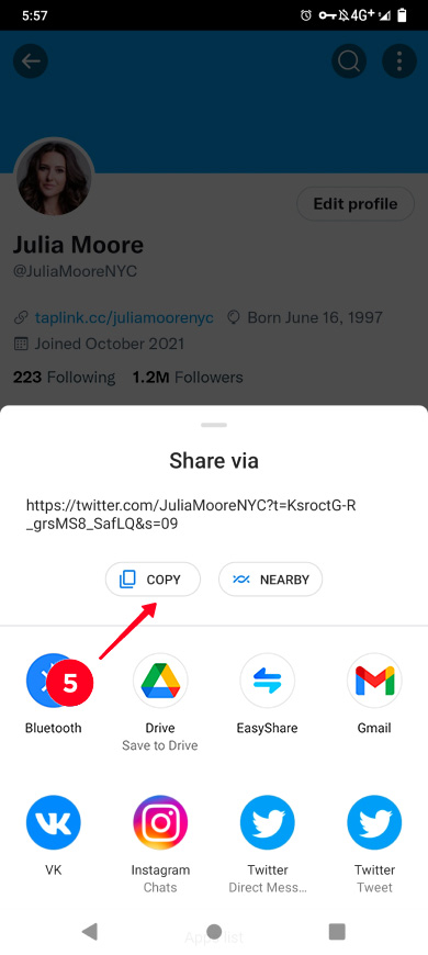 Choosing Copy on the list of profile sharing options
