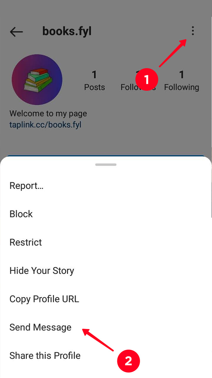 Send Message option on a profile page.