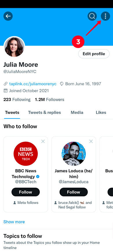 Tapping the three dot icon on a Twitter profile page