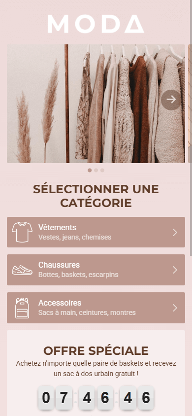 Modèle professionnel pour une boutique de vêtements