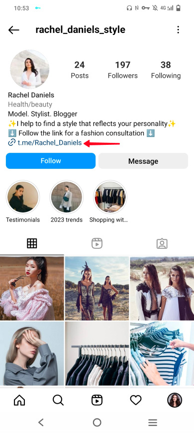Highlighted clickable Telegram profile link in an Instagram bio