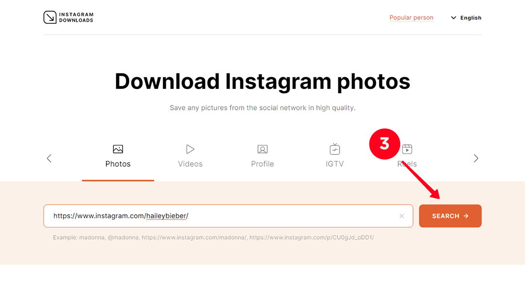 Tapping the search button on the InstagramDownloads desktop website