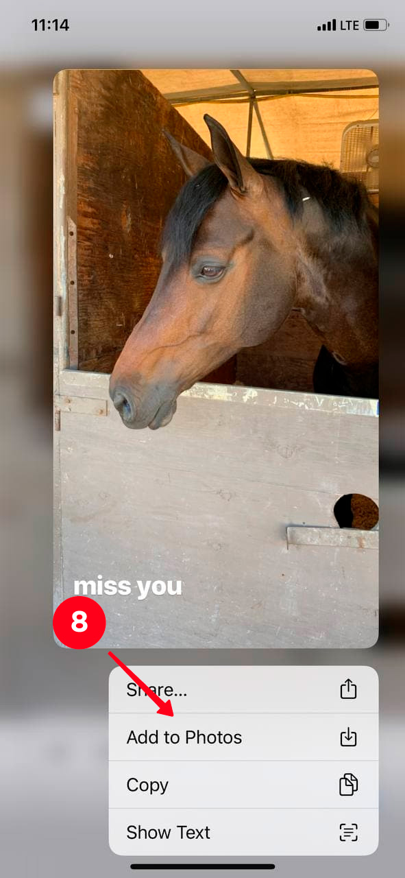 Choosing Add to Photos in the menu