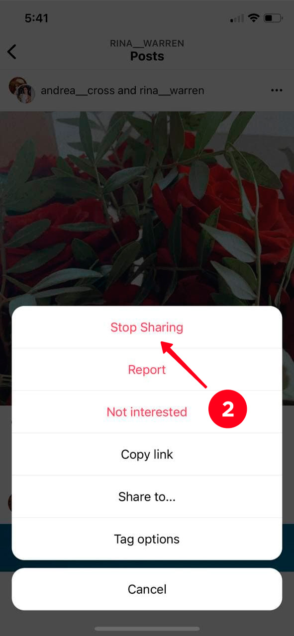 Choosing Stop sharing on the list of options