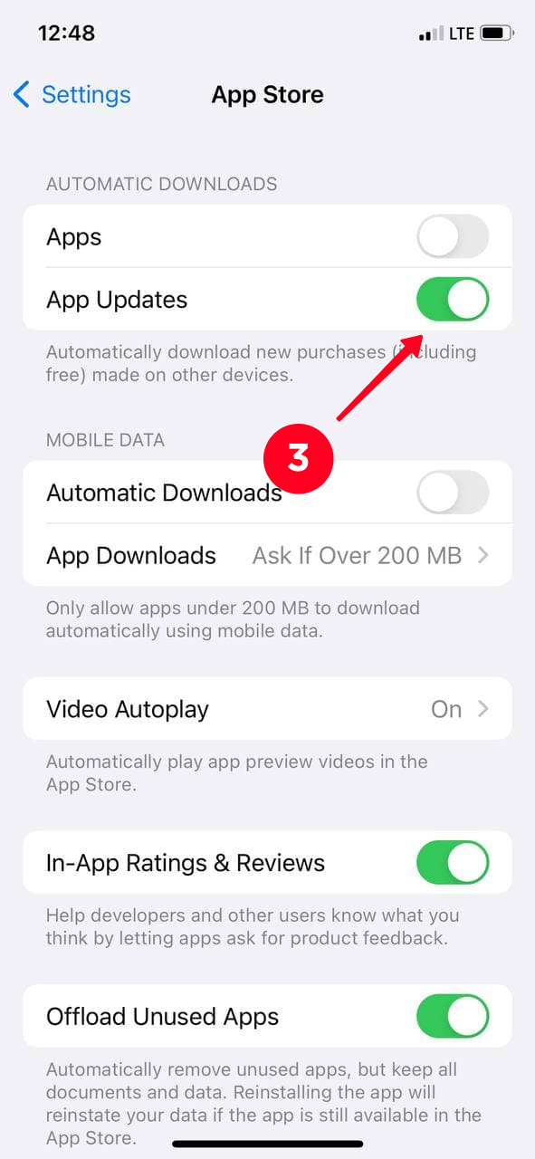 Activating the App Updates feature in the iPhone App Store settings