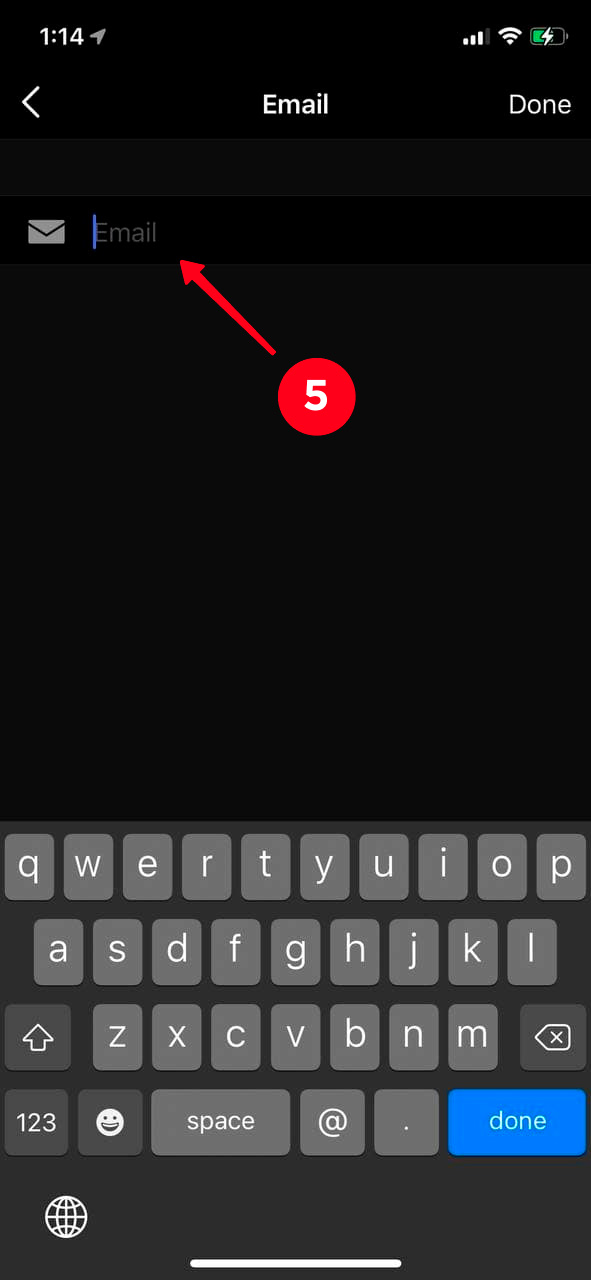 Adding your email address in an empty field in the Instagram app