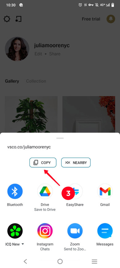 Tapping Copy in the VSCO profile sharing options