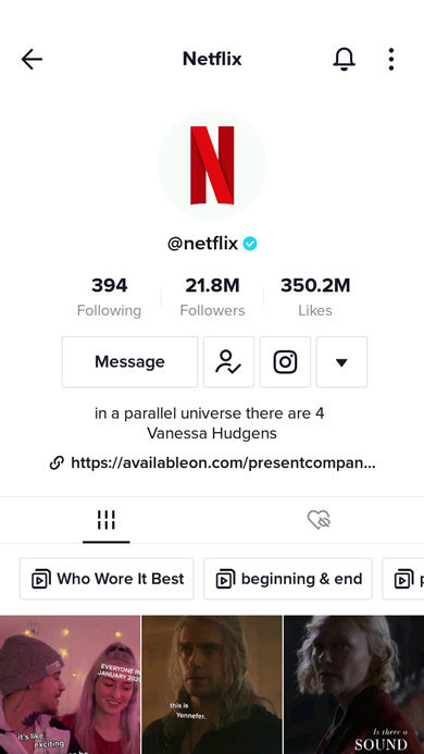 Netflix profile on TikTok with its logo set as a profile photo
