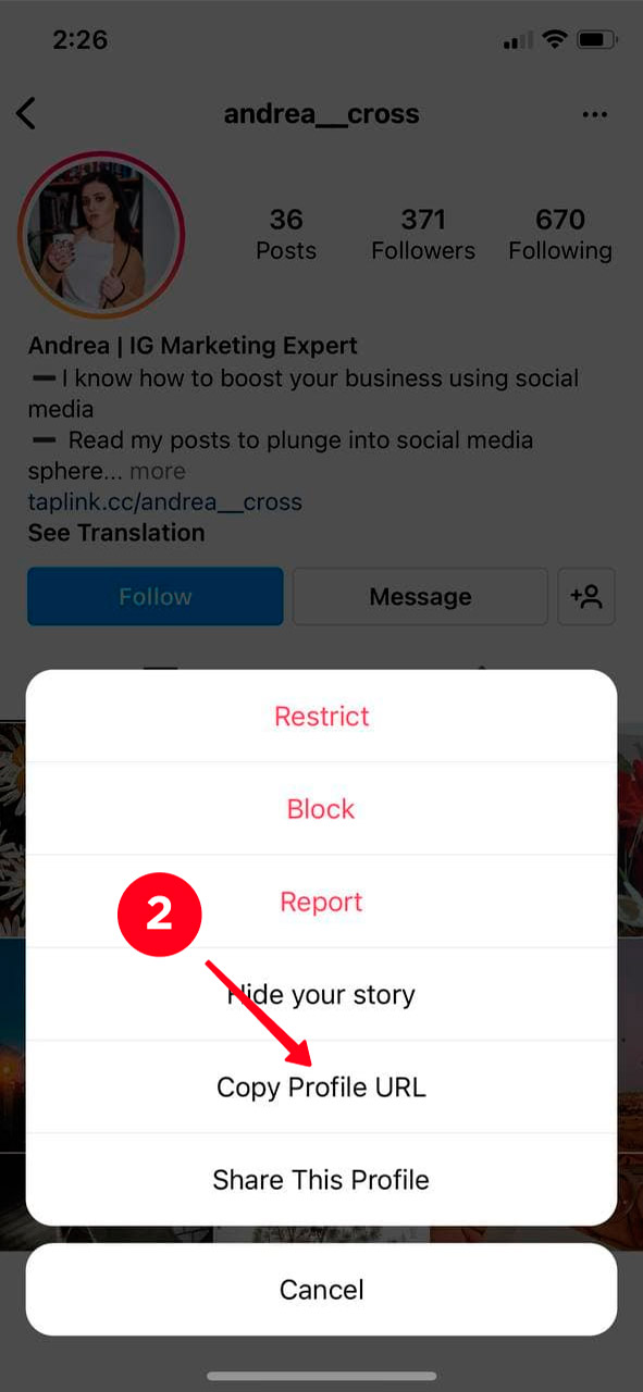 Choosing Copy Profile URL in the Instagram profile menu