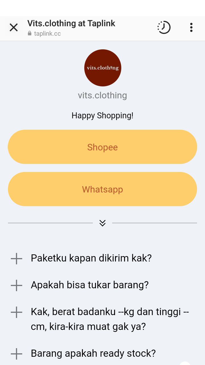 Pagina del link nella biografia creata su Taplink per vendere vestiti