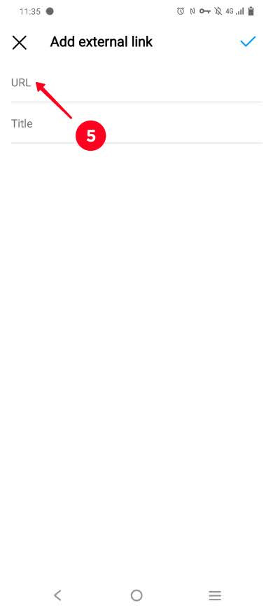 Pasting LinkedIn profile URL in the Instagram bio settings