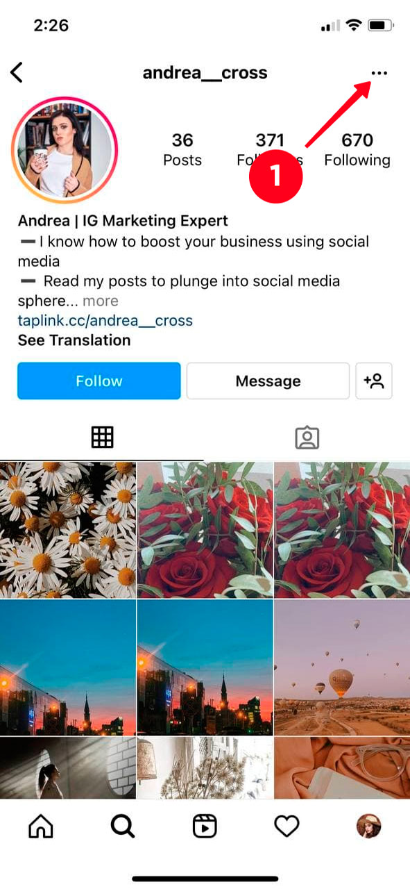 Tapping the tree dot icon on an Instagram profile page