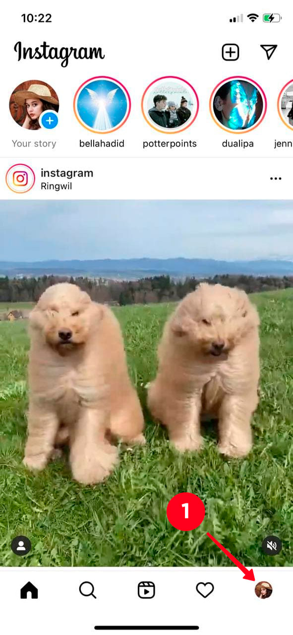 Tapping the profile photo in the tab panel in the Instagram phone app