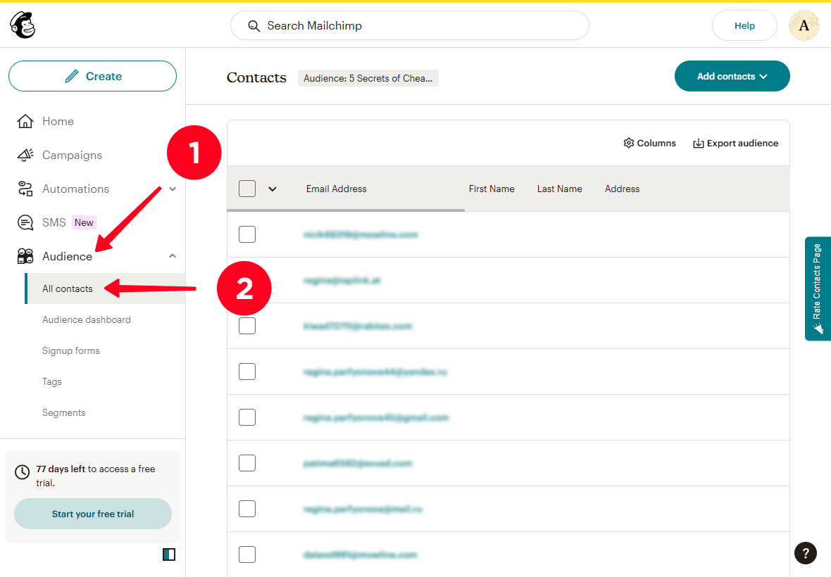 Clicking the Audience tab and navigating to the All contacts tab in Mailchimp