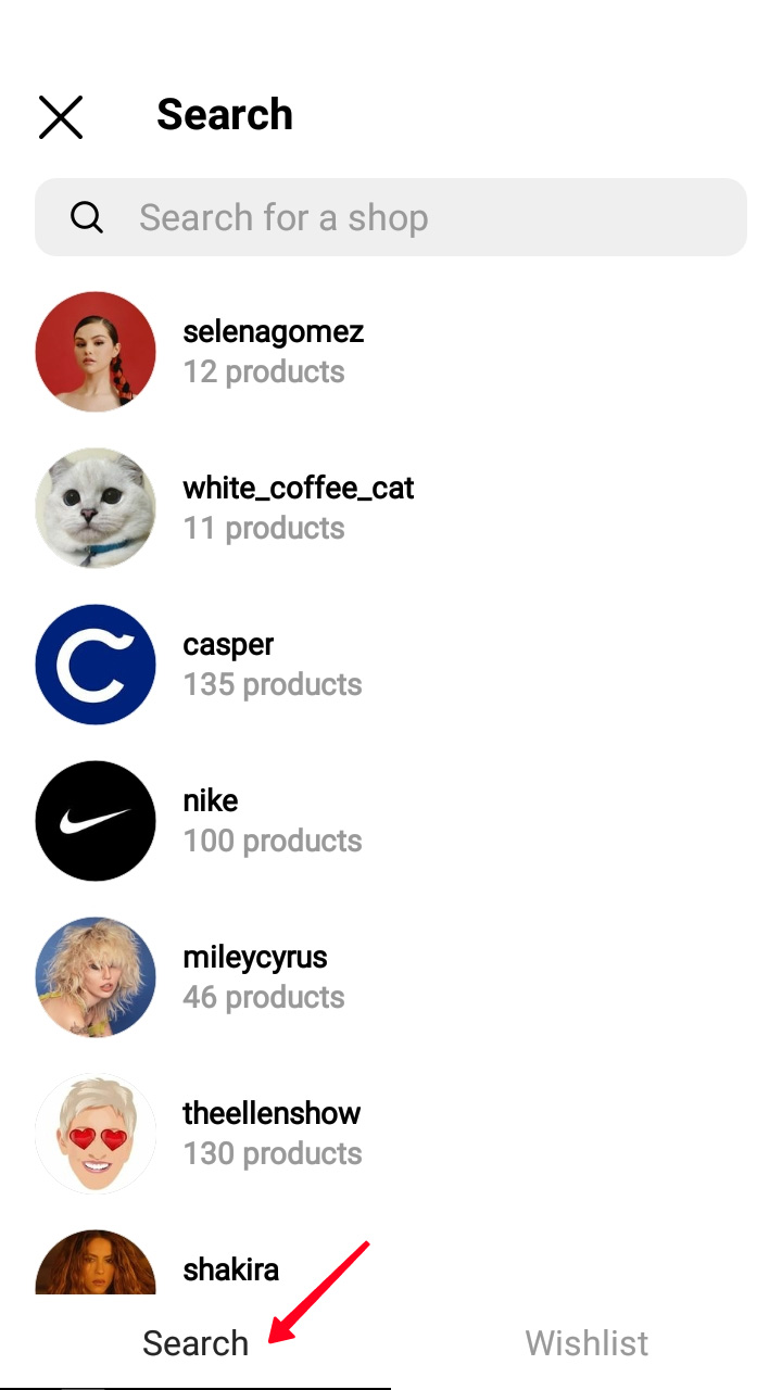Highlighted Search tab with the list of Instagram users