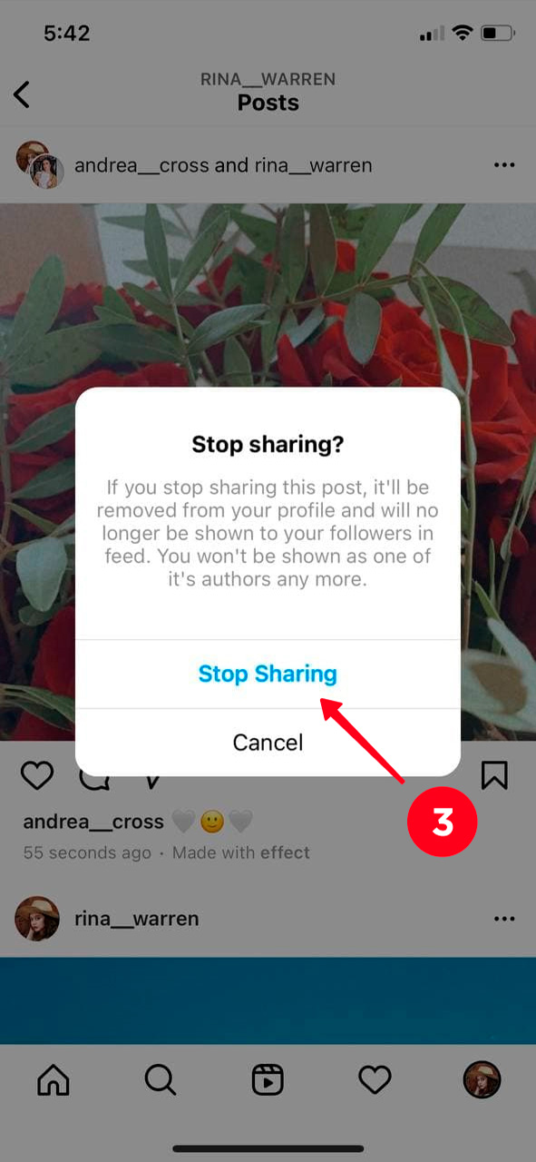 Choosing Stop Sharing in the pop-up window