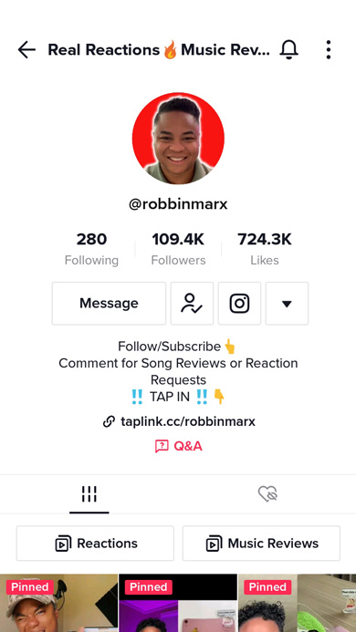 Review blogger's profile page on TikTok with bio text directing to follow the bio link