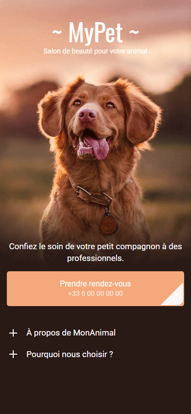 Site d’un salon de beauté pour animaux créé avec Taplink.