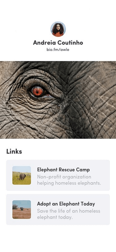 Animal rights advocate’s link in bio page built with the Bio.fm link in bio tool