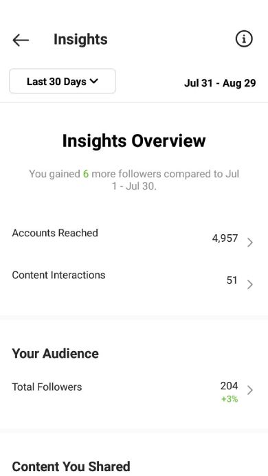 Instagram Insights overview showing the number of reached accounts and the following growth tendency