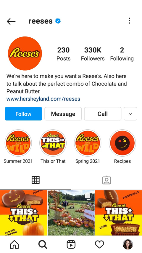 Pagina del profilo Instagram di Reese's con una biografia divertente