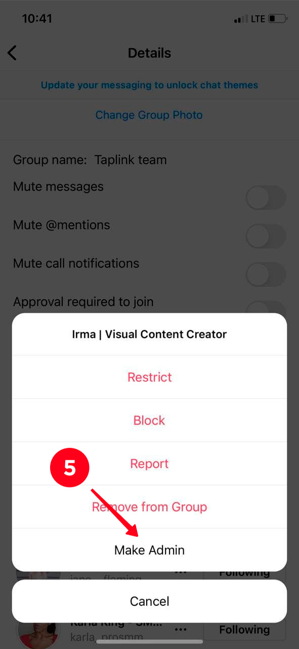 Choosing Make Admin in the Instagram Direct