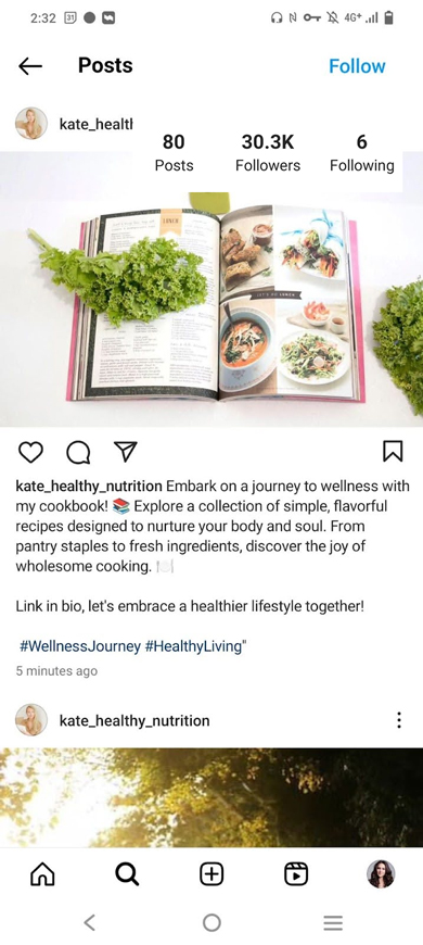 Post promoting an ebook one can buy if follow the link in the Instagram bio