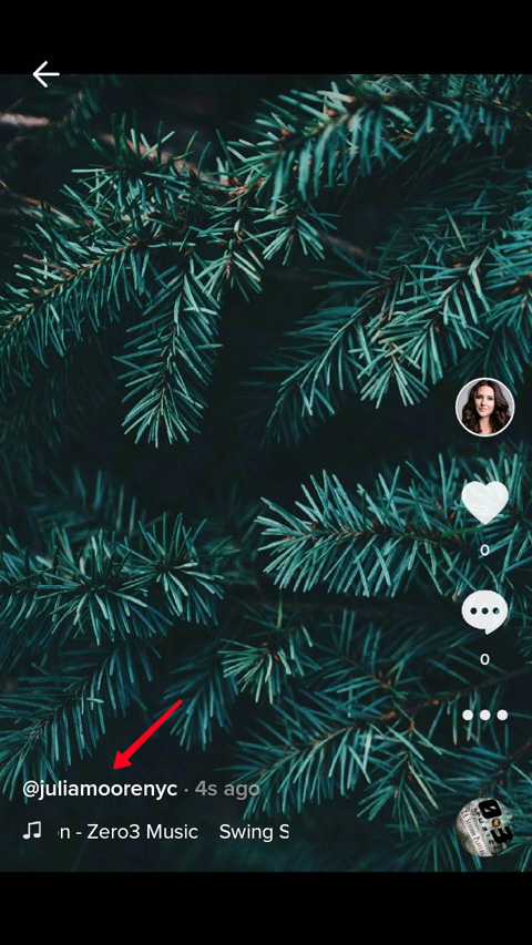 Highlighted username in a TikTok clip in the feed