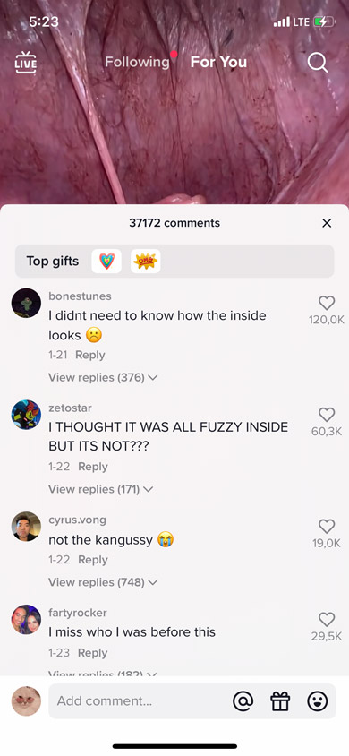 Comments section of a video in the TikTok feed