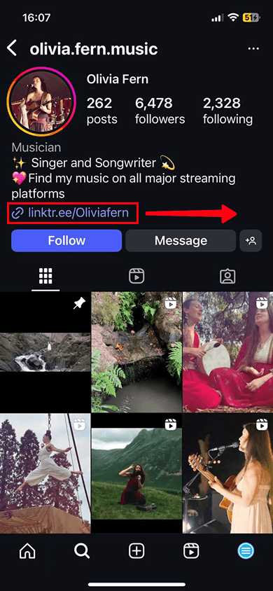Musician’s Instagram profile with a Linktree link in her bio