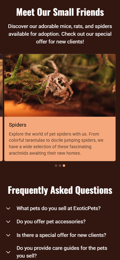Store and FAQ sections of the website, built with Taplink AI-powered website builder