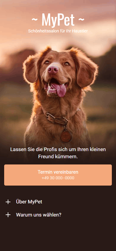 Website eines Haustiersalons, erstellt mit Taplink