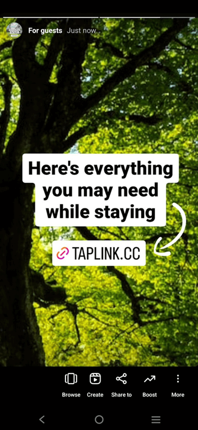 Instagram Story featuring an image, text, and a link to the Taplink page